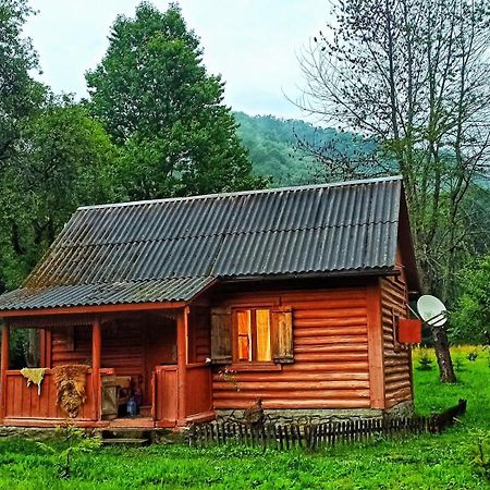 Eko Sadiba Pid Poloninou Villa Sasivka Exterior foto