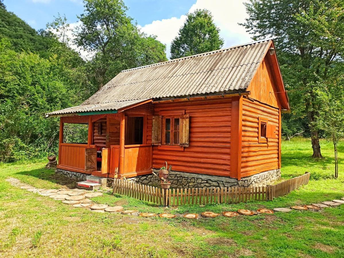 Eko Sadiba Pid Poloninou Villa Sasivka Exterior foto