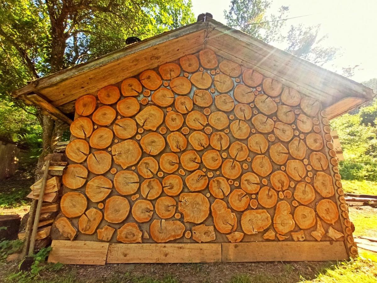 Eko Sadiba Pid Poloninou Villa Sasivka Exterior foto