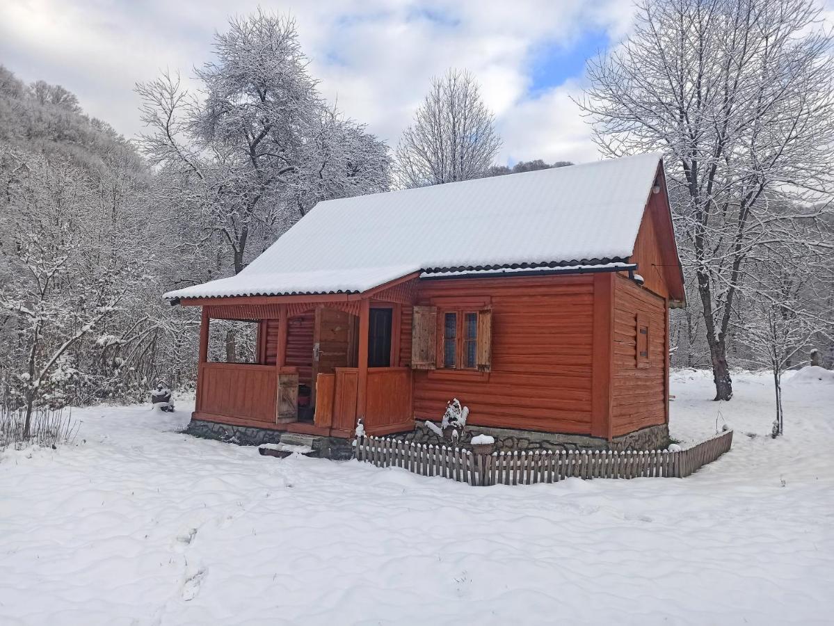 Eko Sadiba Pid Poloninou Villa Sasivka Exterior foto