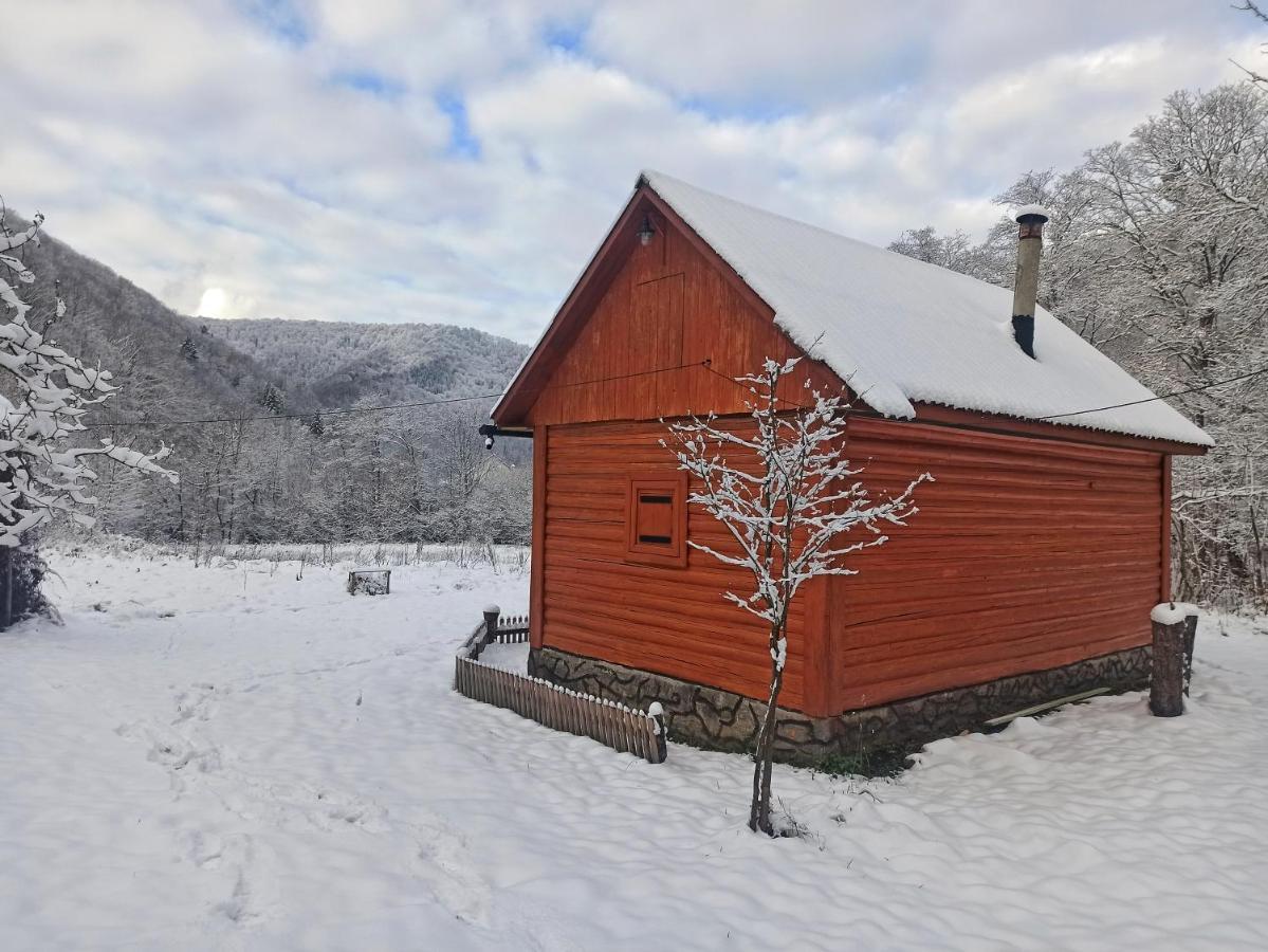 Eko Sadiba Pid Poloninou Villa Sasivka Exterior foto