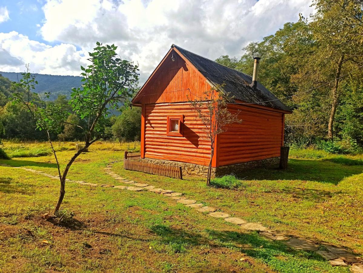 Eko Sadiba Pid Poloninou Villa Sasivka Exterior foto