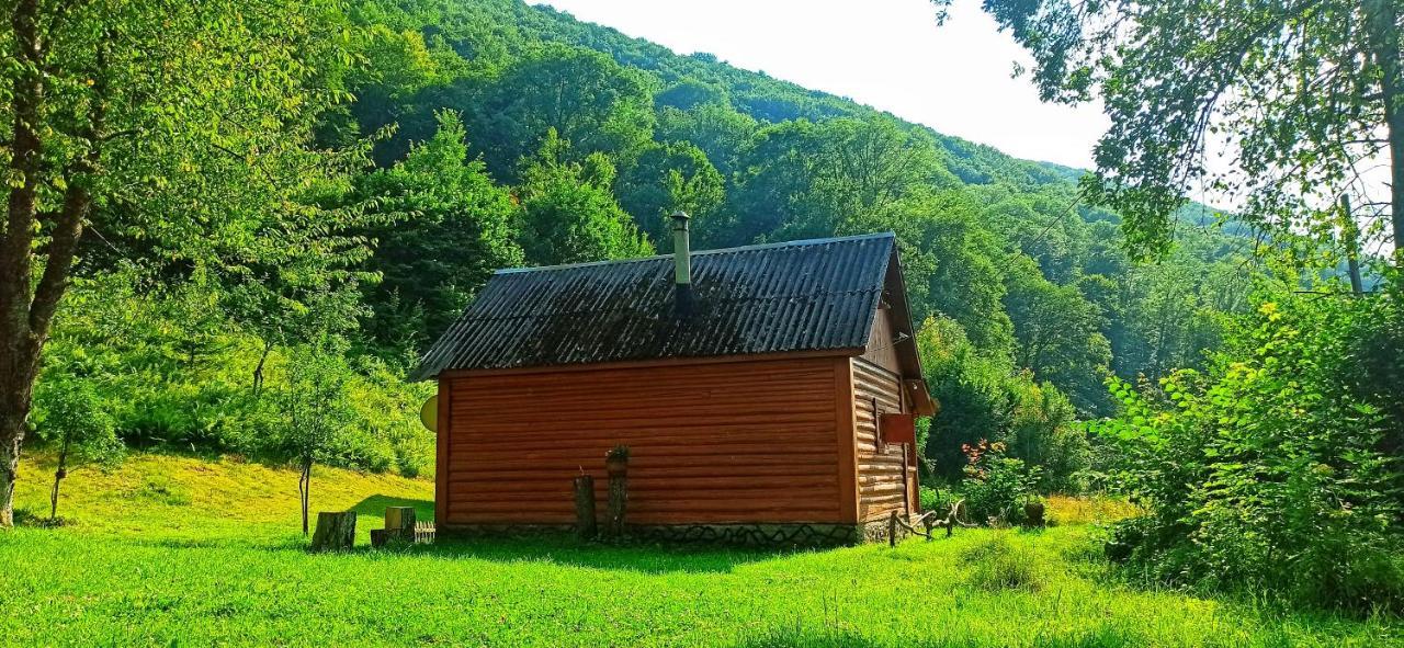 Eko Sadiba Pid Poloninou Villa Sasivka Exterior foto