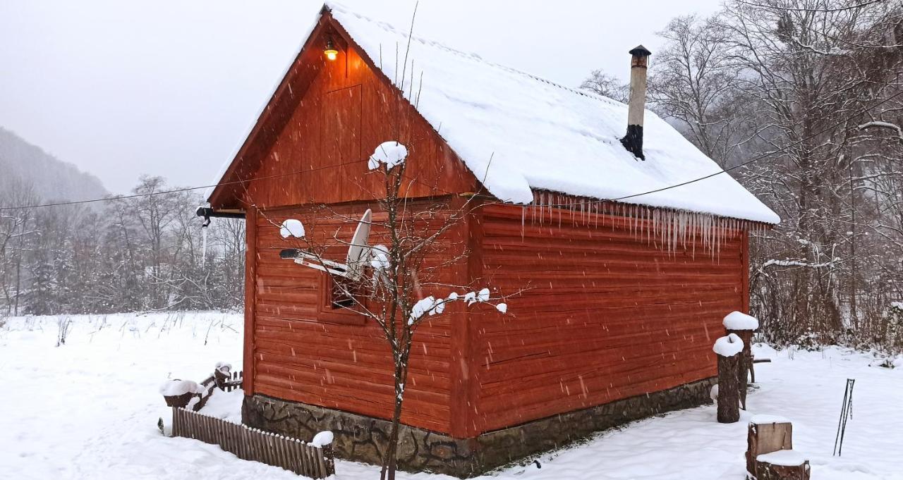 Eko Sadiba Pid Poloninou Villa Sasivka Exterior foto